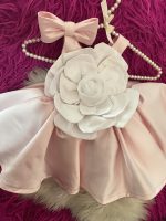 Enchanted rose 🌹 1 - Image 2